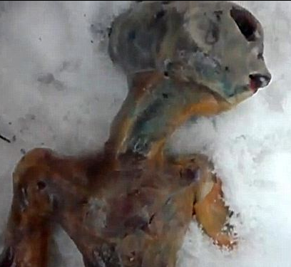 Dead Alien found in snow