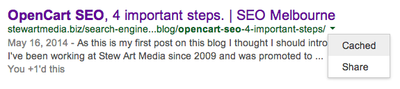 Opencart SEO Result